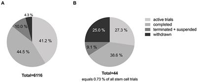 Cell-Based Therapies for Stroke: Are We There Yet?